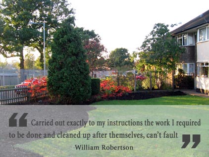 William Robertson's Garden